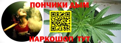 бошки Кингисепп