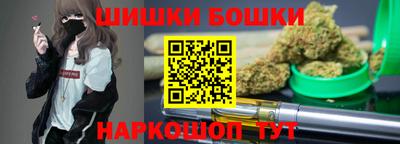бошки Кингисепп