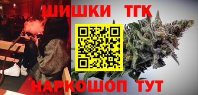 бошки Кингисепп