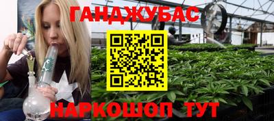 бошки Кингисепп
