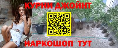 бошки Кингисепп