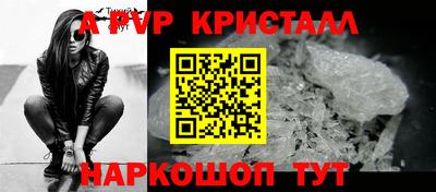 бошки Кингисепп