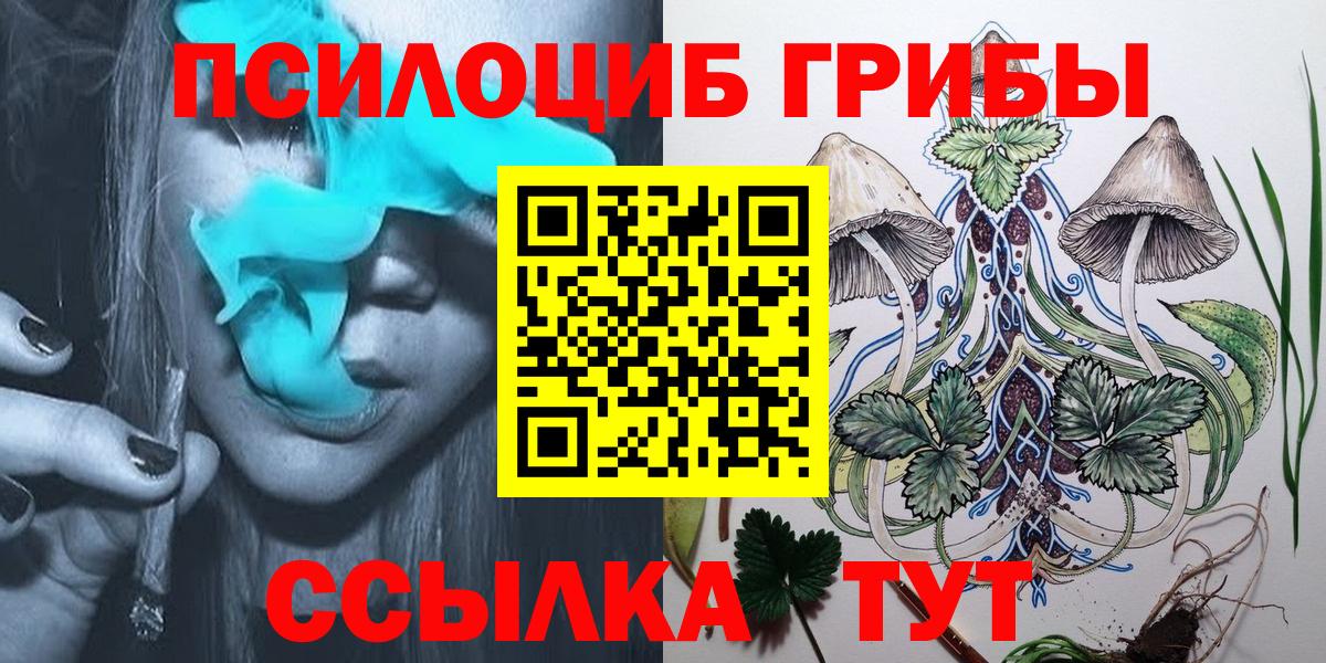 что такое   Вход с VPN  Кувандык  Псилоцибиновые грибы мицелий 