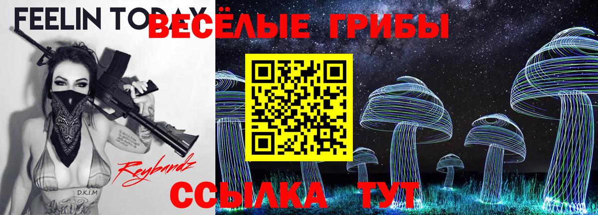 Псилоцибиновые грибы Cubensis Кувандык